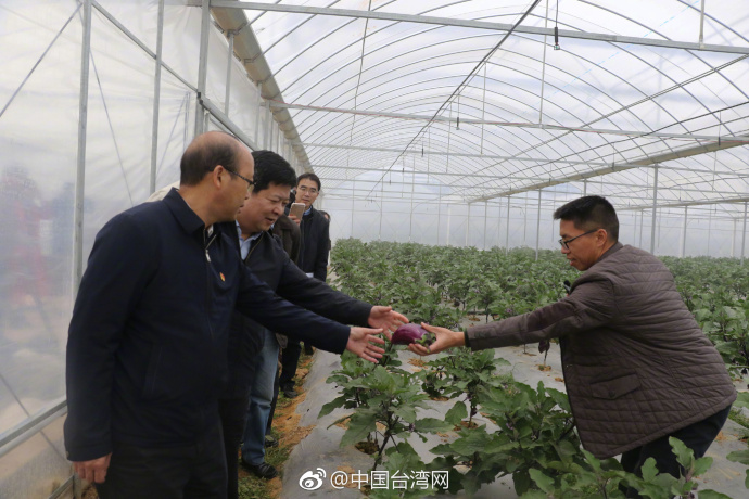 國臺辦副主任龍明彪定南調研 盼村民生活越來越好 國臺辦副主任龍明彪定南調研 盼村民生活越來越好