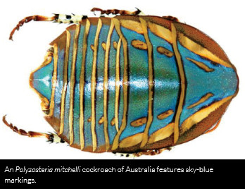 "�������"�����{��ʯ �_�W�ߣ�"С��"������������