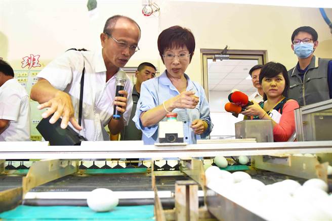 洪秀柱邊看邊問,了解鴨蛋分類過程。(許智鈞攝) 洪秀柱邊看邊問,了解鴨蛋分類過程。(許智鈞攝)