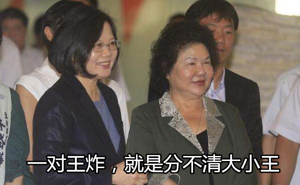 蔡英文為擺平派系內斗 請民進黨大佬掌臺灣油電 蔡英文為擺平派系內斗 請民進黨大佬掌臺灣油電