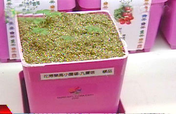 ̵ļo(j)ƷVϲۡDƬԴ_TVBSҕ_