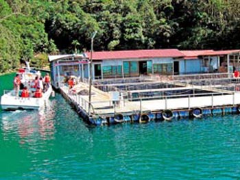 ̶ݽ(li)(du)^ˮɘO_DƬ(li)Դ_(ti)Ї(gu)r(sh)(bo)