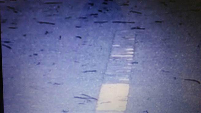 新北道路百只蚯蚓"集體大逃亡" 場面驚人嚇壞網(wǎng)友 新北道路百只蚯蚓"集體大逃亡" 場面驚人嚇壞網(wǎng)友