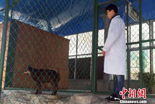 (wn)ÿ(hu)r(sh)Ѳҕ(dng)^,J(rn)^(dng)ОB(ti)ɭ z