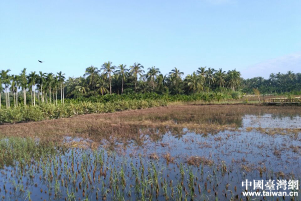 瓊海塔洋鎮(zhèn) 瓊海塔洋鎮(zhèn)