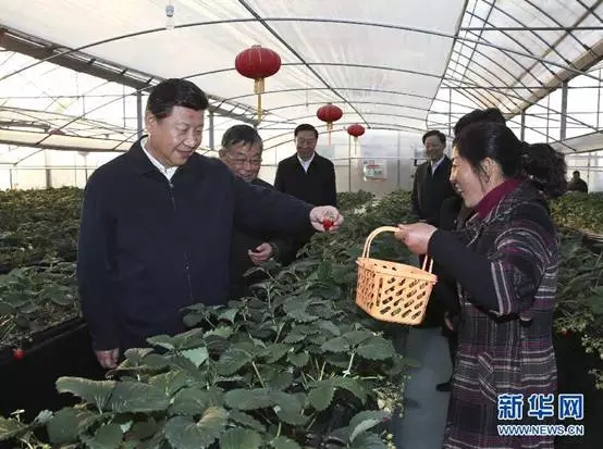 “平語”近人——習近平的“三農觀” “平語”近人——習近平的“三農觀”