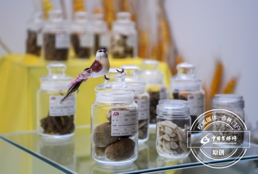 醫藥產業逆風飛揚