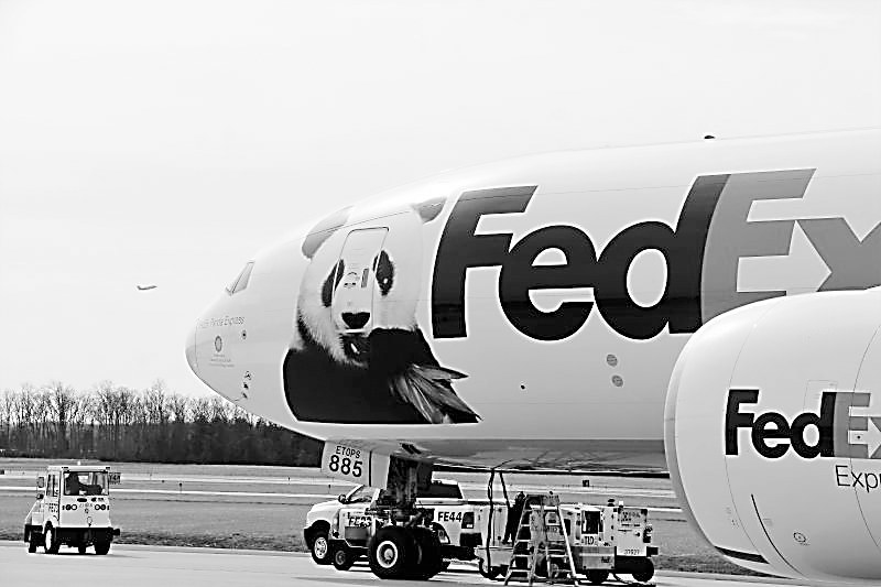 “寶寶”乘坐的聯邦快遞專機。