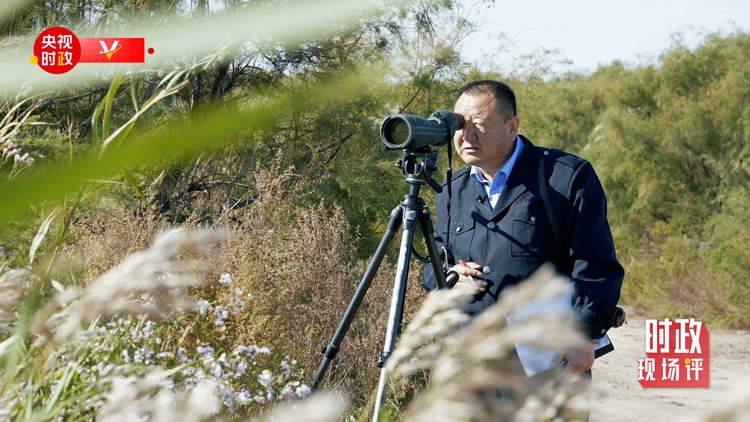 �r���F���uح���S����ӛ���_�� ���뺣�ڿ�����S�ӵľG�c�H��