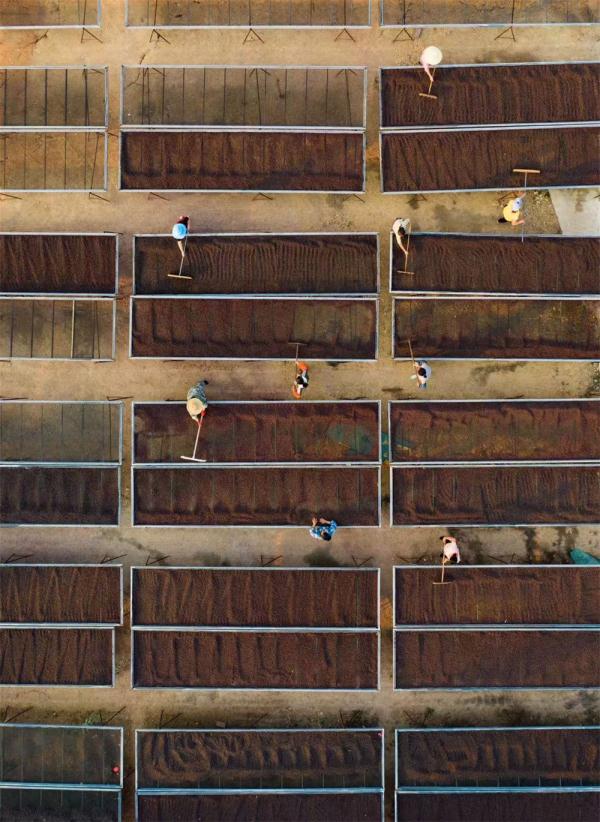 �@�������������ɽ�l���d�����