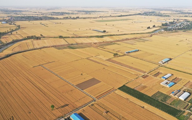 �r(n��ng)���Ո����r(n��ng)ƽ���£��Ї��Zʳ���ŏ������