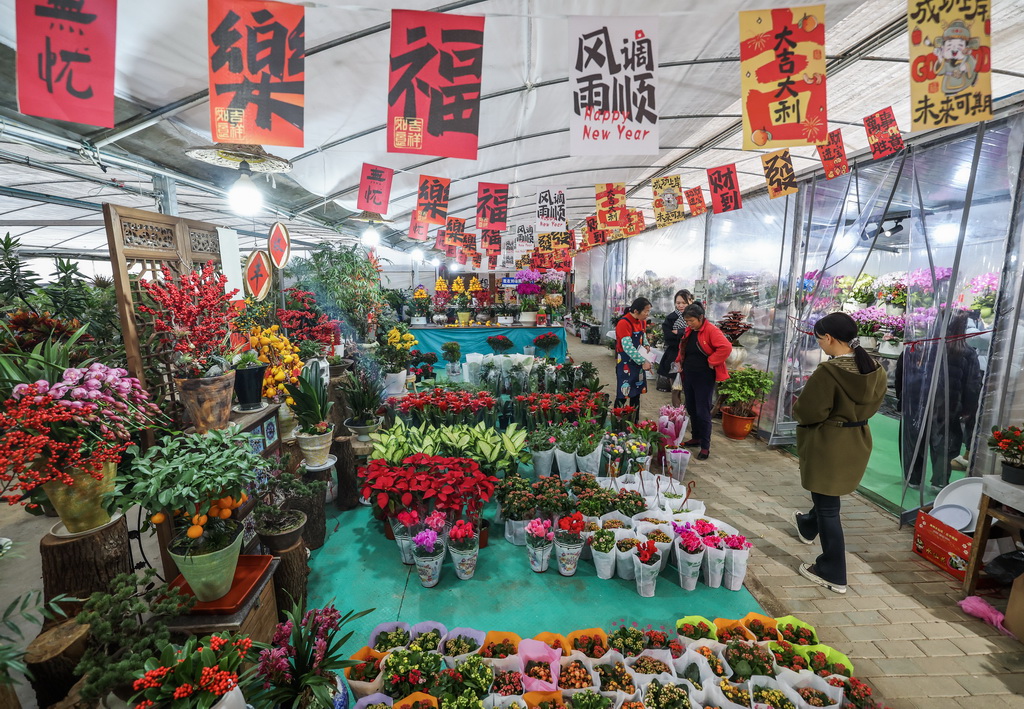 12��23�գ���ڽB�d�������xُ����������ܡ�