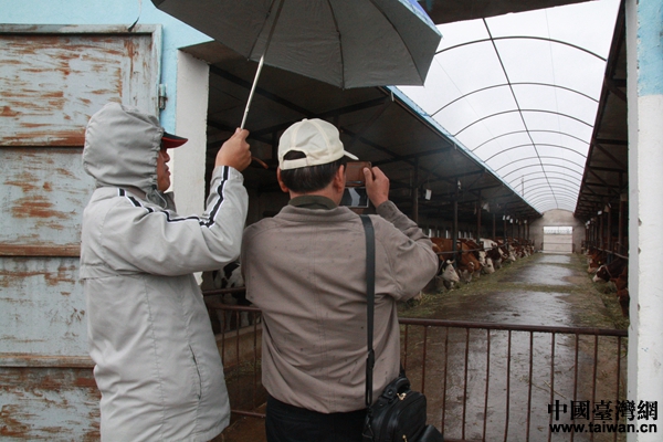 臺南市兩岸公共事務交流協會專家學者參觀沙河鎮養牛場。 臺南市兩岸公共事務交流協會專家學者參觀沙河鎮養牛場。