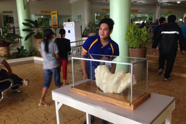 該珍珠在當地被展出。