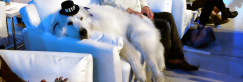 (zhn)L(zhng)(gu)С(zhn)x(i)3ȳɹ(dng)x