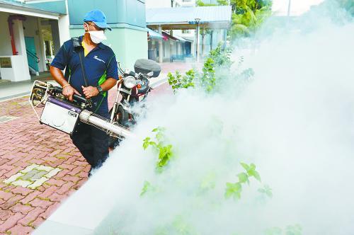 23名中國人在新加坡感染寨卡病毒 部分人已痊愈 23名中國人在新加坡感染寨卡病毒 部分人已痊愈