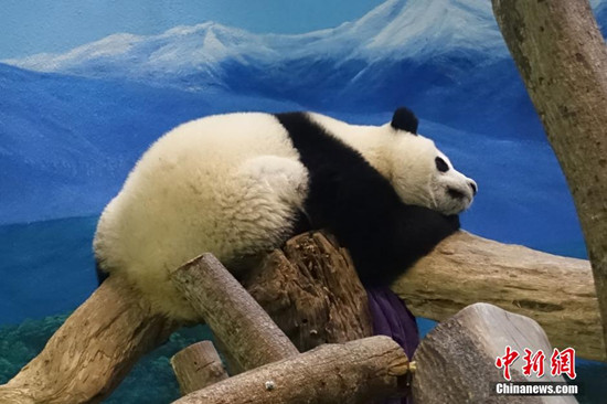 _(ti)(xi)棺؈ǧ𡰈AС_(ki)ʼ(d)