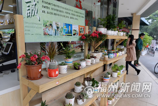 農(nóng)大“誠信花攤”生意越做越大 將走進更多高校