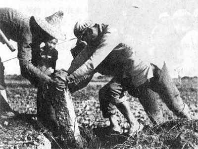 《土地改革法》公布施行 土改運動全面展開